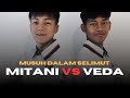 ‼️VEDA LAWAN PESAING TERBERAT BUKAN ORANG EROPA ‼️Mengapa Zen Mitani Lebih Berbahaya ⁉️