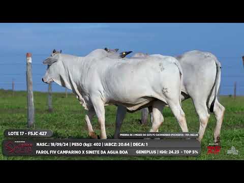 LOTE 17 FSJC 427 KPAO 4612