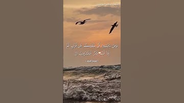 سورة الروم من  آية 20 إلى آية 21 بصوت الشيخ ياسر الدوسري♥♥