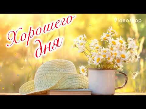 ☕️ Доброе утро! Утренний позитивчик! 😀 Музыкальная видео открытка.