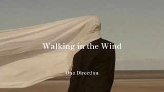 Download Lagu Walking in the Wind - One Direction［和訳］ MP3