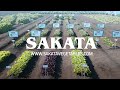 Whats new sakatas baby leaf portfolio