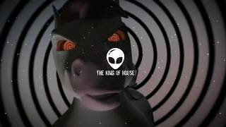 Pônei Maldito - Gabriel Rodrigues Mashup