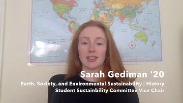 Fossil fuel divestment at Illinois, Part 1: What is divestment?