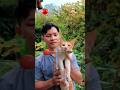 Food ASMR 🍅🪼🐟 | With cute cat🐱✨ #shorts #reverse #food #funny #cute #cat #satisfying #trending