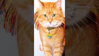 KEHADIRAN OYEN UBAH Dan Selamatkan Hidup Lelaki Ini SEPENUHNYA❓😱 Biar Betik ❗️❗️ #shorts #facts