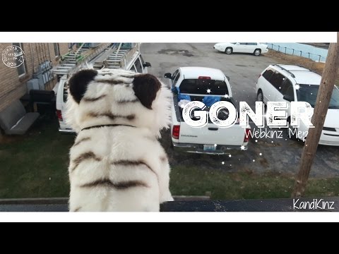 Goner Webkinz Mep - (OPEN) - Twenty One Pilots