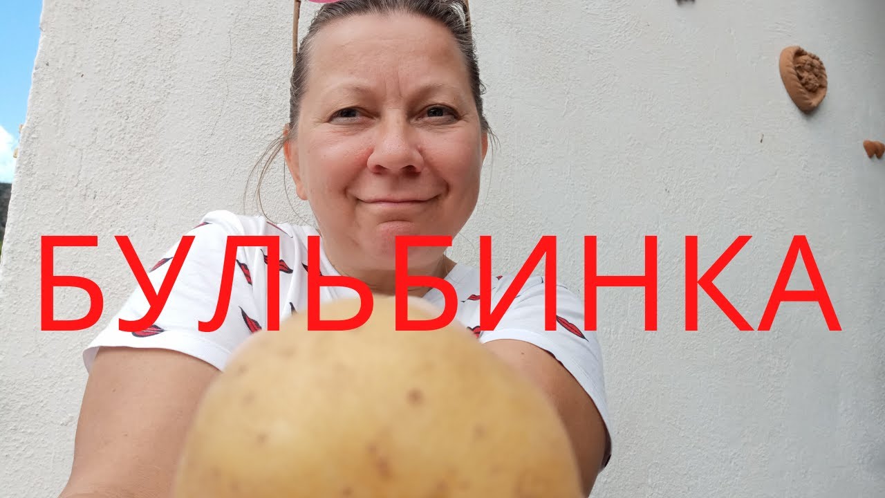 БУЛЬБИНКА - YouTube