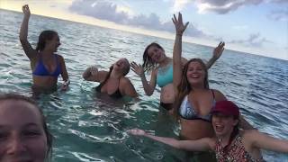 BIMINI 2017
