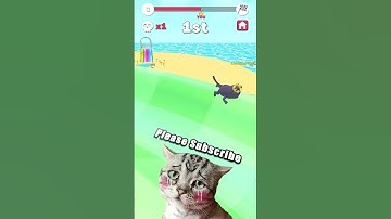 🙀Aquapark.io new Max Levels Game Mobile Walkthrough