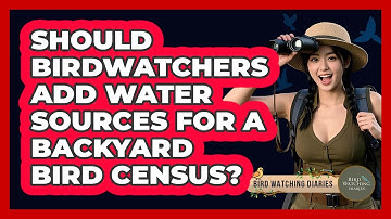 Should Birdwatchers Add Water Sources For A Backyard Bird Census? - Bird Watching Diaries
