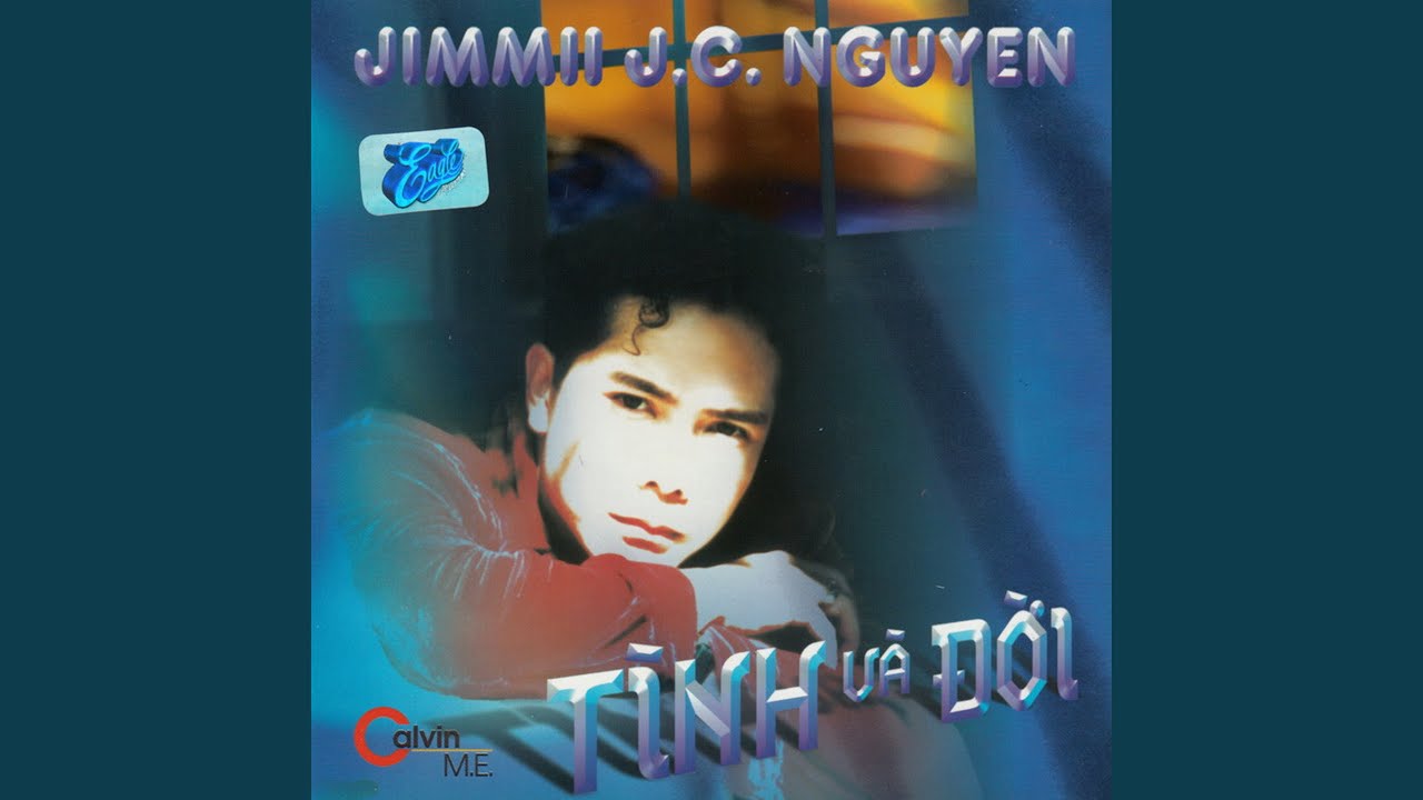 Tình như lá bay xa 2
