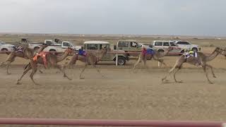 السبت ه الشوط الثاني صعوب قعدان مفاريد م