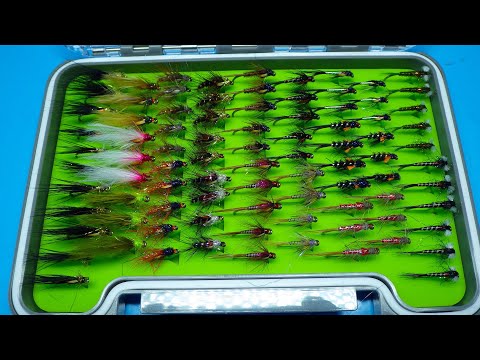 Looking through a Stillwater /Loch Fly Box with Davie McPhail