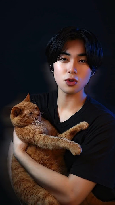 #shorts #cat #spiderman #LifeHack #McDonalds #NewMusic #AIGO #NCTDREAM #Smoothie #NCTDREAM_Smoothie