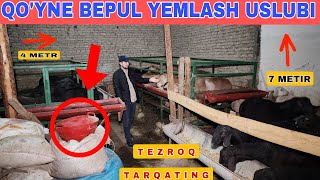 QO'YNI BEPUL YEMLASH USLUBI. BEPUL YEM TAYORLASHNI O'RGANAMIZ