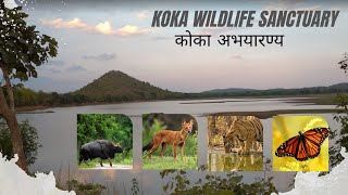 कोका अभयारण्य | Koka Wildlife Sanctuary