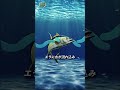 まさかの事実…“生きたマグロは流通しない”