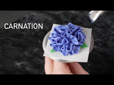 Vídeo: Scaevola Fan Flower Info - Como cultivar flores de leque de fadas