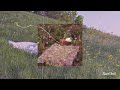 Picnic in the Meadow - Ophelia Wilde // 1 hour loop // rain