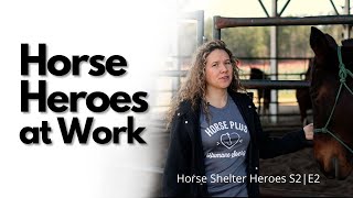 Horse Shelter Heroes | S2E2 | Full Episode