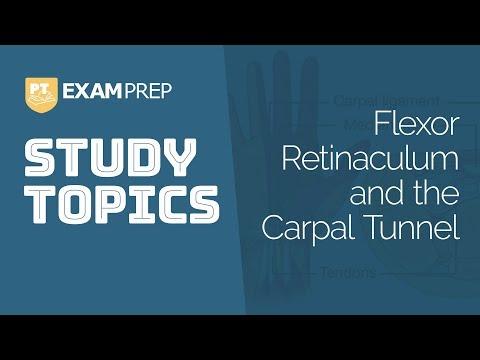 Videó: Flexor Retinaculum A Láb Anatómiájáról, Működéséről és Diagramjáról - Test Térképek
