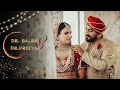 Dr balraj  dr preeyaa  north meets south  punjabi wedding highlight