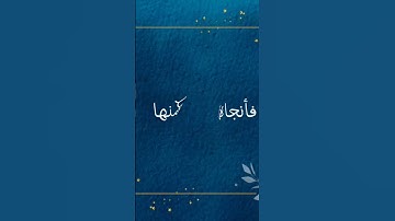 #اكسبلور #اذكر #اذكار #معلومات #أدعية #اذكار #صلاة #فقه #سنة