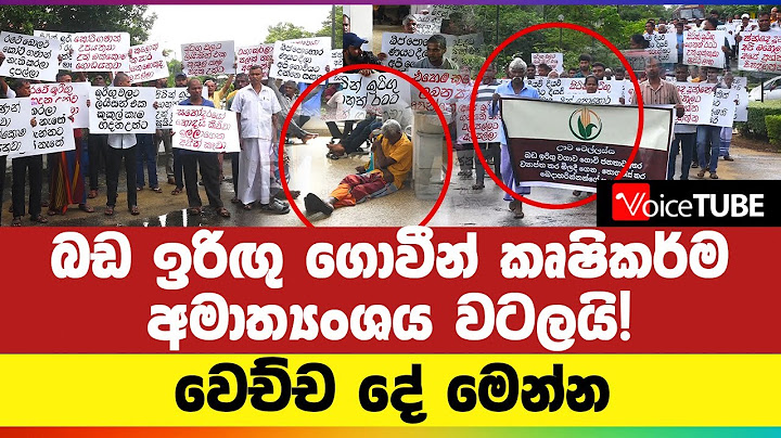 බඩ ඉරිඟු ගොවීන් කෘෂිකර්ම අමාත්‍යංශය වටලයි! වෙච්ච දේ මෙන්න