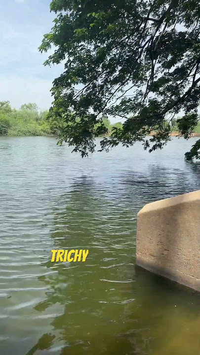 After long days Nice to see Cauvery full flow in Trichy #cauvery #kallanaidam #vaigai #water #vlog