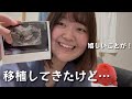 胚移植をしてきたよ