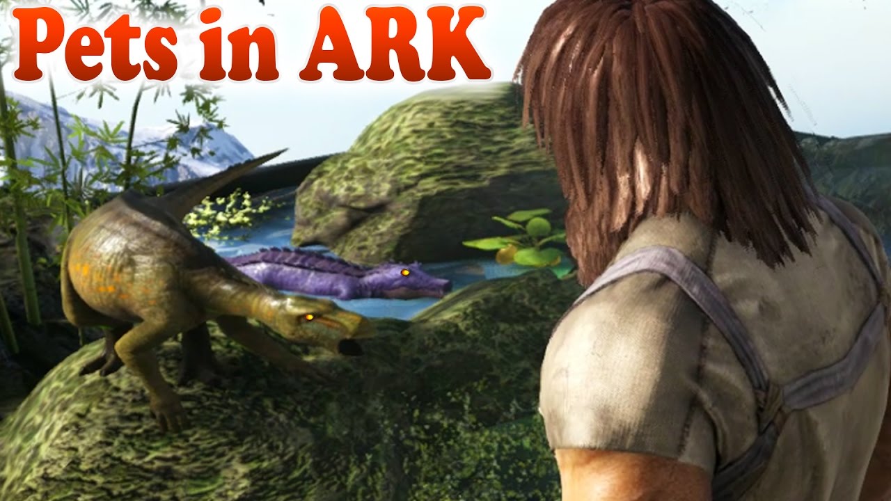 Ark The Best Pets In The Eco Terrarium Mod Ark Survival Evolved Modded Gameplay Youtube