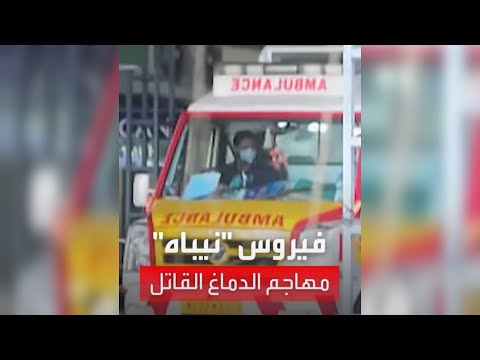 يهاجم الدماغ وأخطر من كورونا تحذيرات من تفشي فيروس نيباه القاتل 