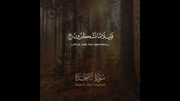 تلاوة خاشعة تريح القلب والعقل من سورة السجدة القارئ اسلام صبحي ❤️