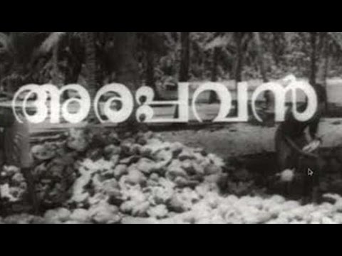 arappavan-:-malayalam-feature-film-:-sathyan-:-sulochana-:-t-s-muthaiah