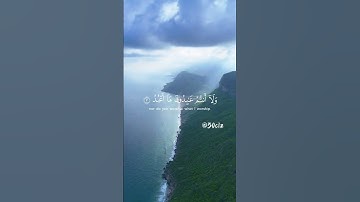 سورة الكافرون بصوت القأرى ياسر الدوسري #راحة_نفسية