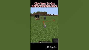 Ohio Way To Get Wither Skeleton Head  #minecraft #マインクラフト