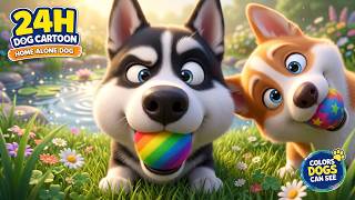 24 Hours Cartoon For Dogs: A Woof Woof Adventure Day For Little Puppies 🐶🌈 | Relaxing Music For Dogs