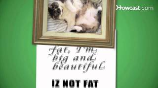 Come parlare LOLcat screenshot 2