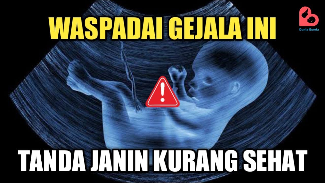 GEJALA YANG DIRASAKAN IBU HAMIL SAAT JANIN KURANG SEHAT