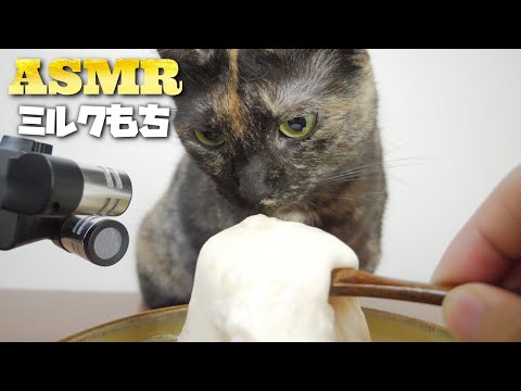 【ASMR】ミルクもちをコリコリ食べる猫の咀嚼音??Cat Eating Milk Mochi