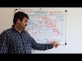 SAP EWM Quality Integrations with Process Oriented Storage Control with Inbound, Mans Nagar