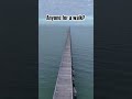 Port Germein Jetty is as long as it is beautiful! 😍 #travel #caravaning #adventure