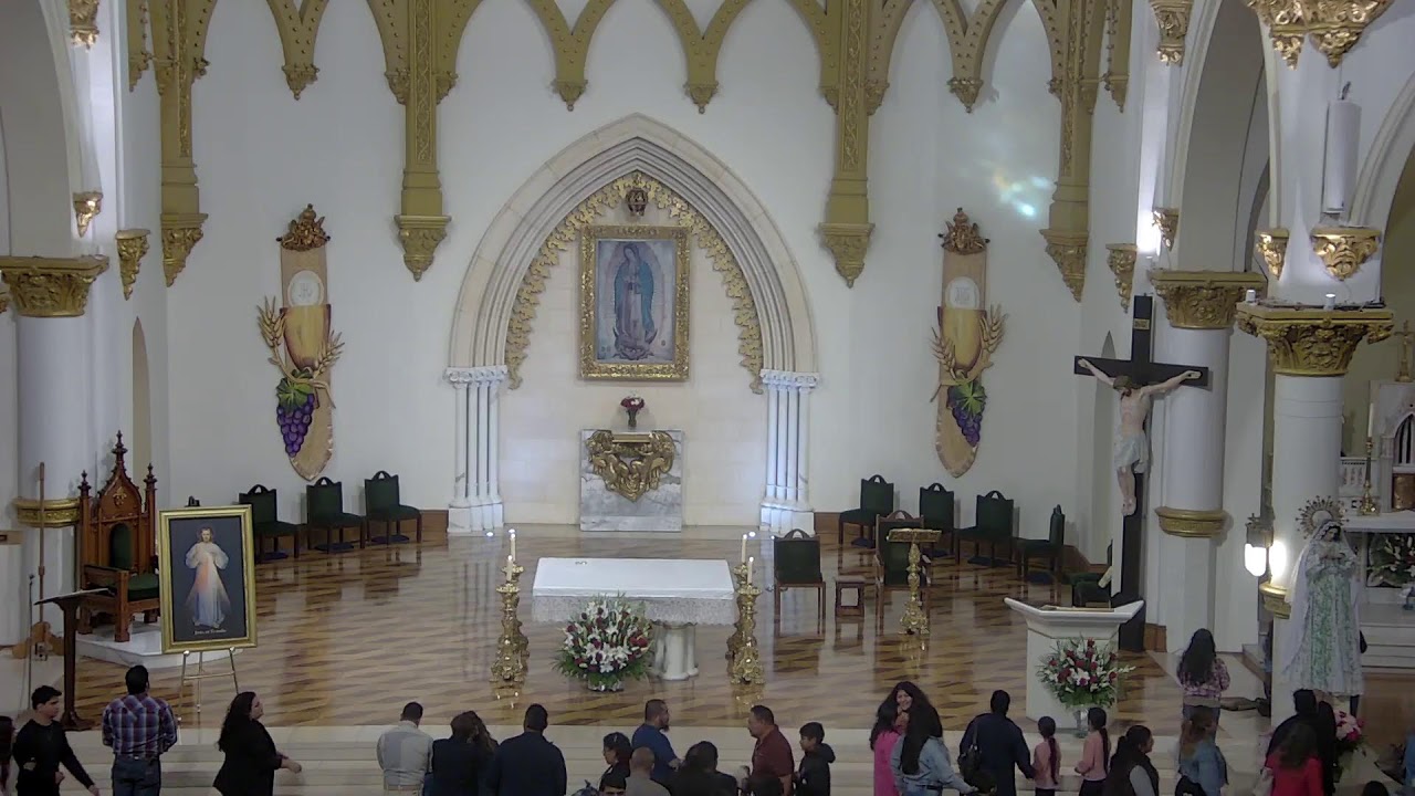 Misa Dominical desde la Catedral de Dallas | Cathedral Guadalupe