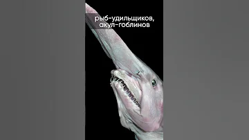 👾 Есть ли жизнь на спутнике Юпитера Европе? #shorts #наука #космос