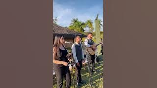 Carry You - Novo Amor , Elevatto Music