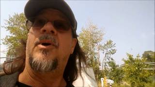 Hurtin Hippie Walkabouting - A Jay by the River under a Tree