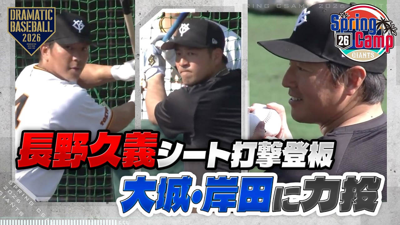 読売巨人軍 7 長野 久義 選手(宮崎キャンプボール）