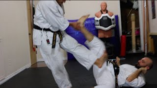 Okinawan Karate: The Science of Fighting Dirty screenshot 5