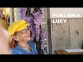 Porannik Lucy - 2 kwietnia 2025 - Ziggy! Dzisiaj jest przestrzeń dla mnie!